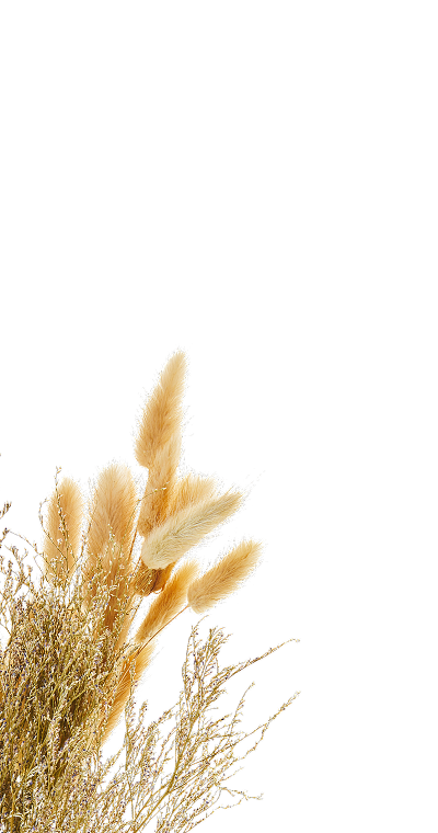 Фоновая картинка