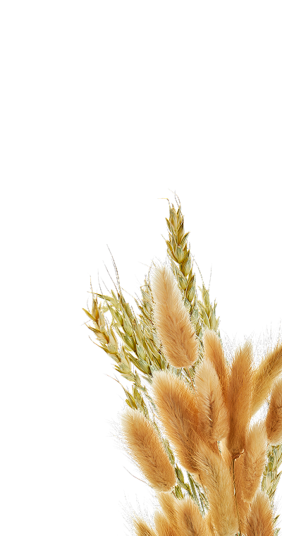 Фоновая картинка